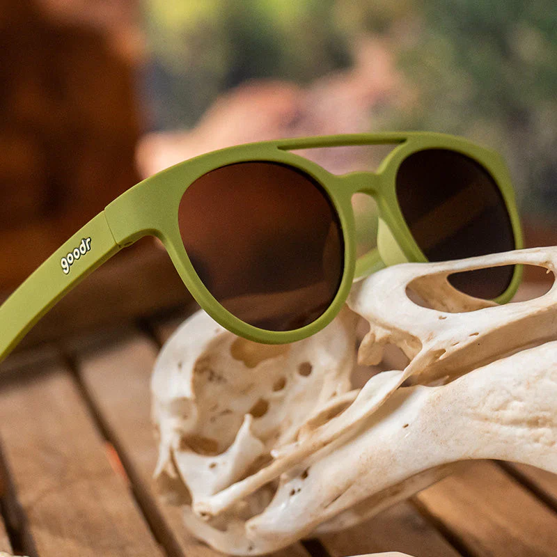 Fossil Finding Focals - Image 4
