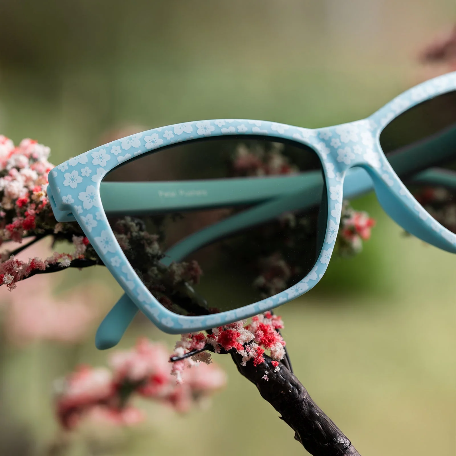 Petal Pushers - Image 5