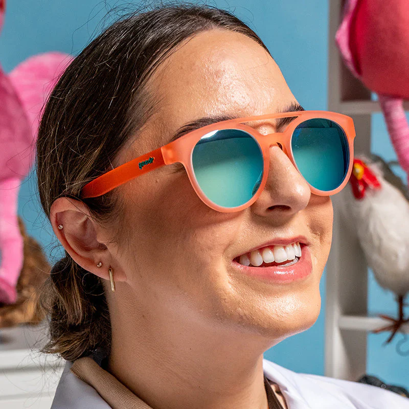 Stay Fly, Ornithologists - Image 4